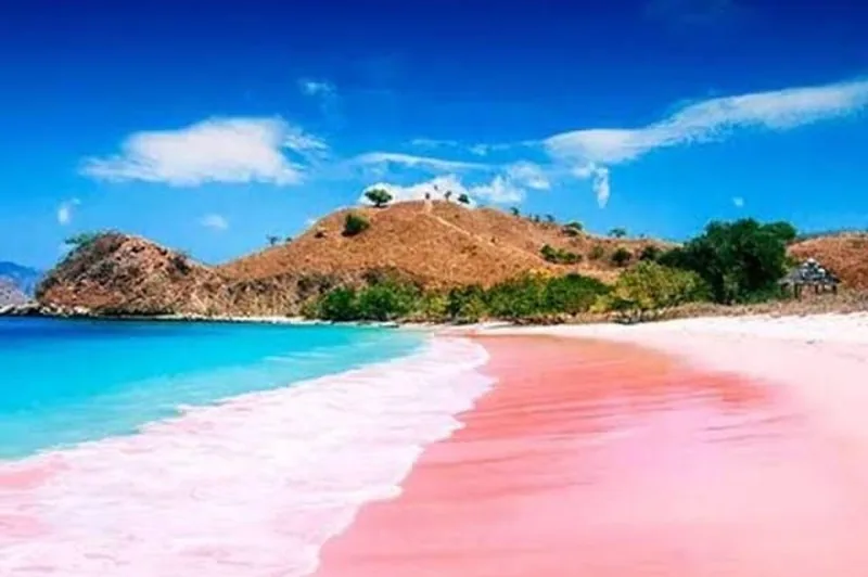 Pink Beach, where crushed coral colours the sand