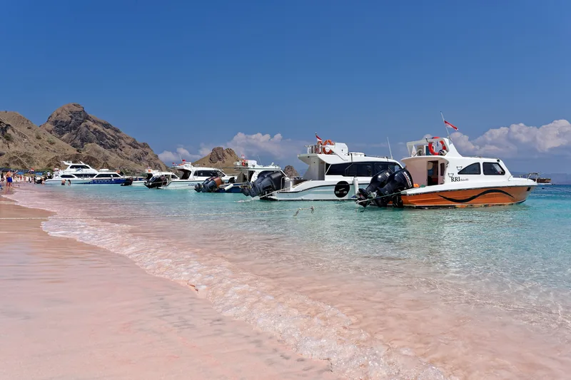 Day-tour boats moored off Pink Beach