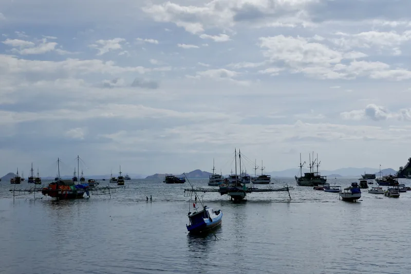Labuan Bajo harbour, where every tour on this site starts